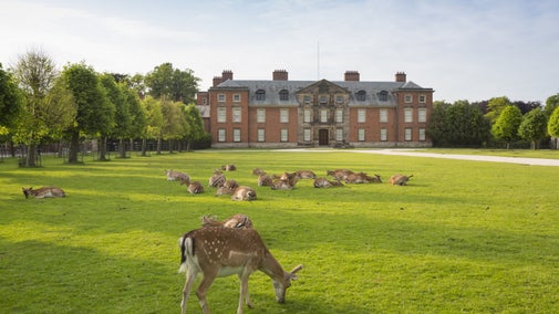 Dunham Massey historic house featuring grazing deer in the foreground.